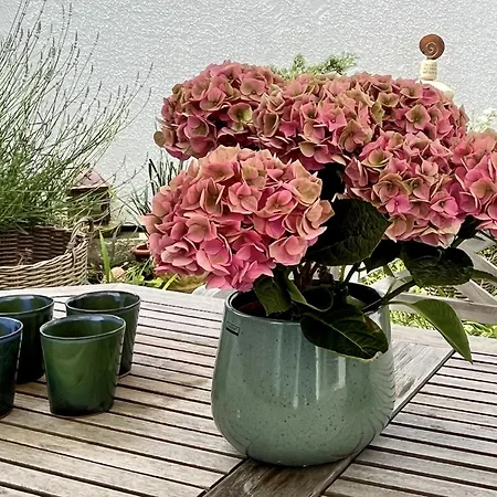 Holiday home Seepanorama By Interhome